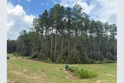 15648 Cricket Creek Court, Willis, TX 77378 - Photo 4