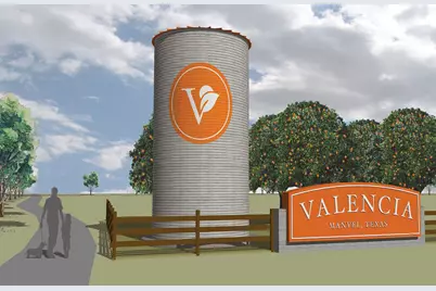 19138 Pink Grapefruit Street, Manvel, TX 77578 - Photo 38