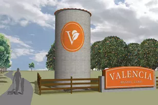 19138 Pink Grapefruit St, Manvel, TX 77578 - Photo 38