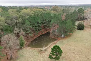 1016 E Capps Rd, Livingston, TX 77351 - Photo 48
