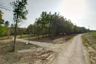450 Williamson Way Way, Lovelady, TX 75851 - Photo 22