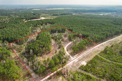 450 Williamson Way Way, Lovelady, TX 75851 - Photo 12