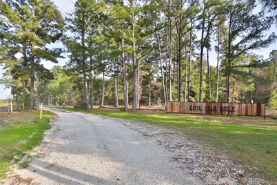 450 Williamson Way Way, Lovelady, TX 75851 - Photo 2