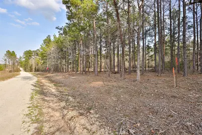 450 Williamson Way Way, Lovelady, TX 75851 - Photo 6