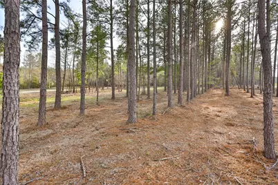 450 Williamson Way Way, Lovelady, TX 75851 - Photo 10