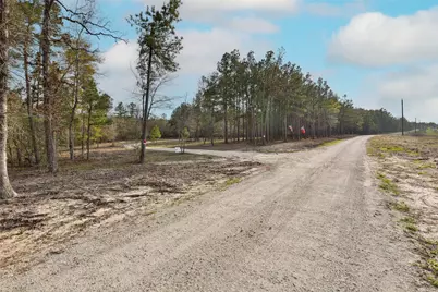 450 Williamson Way Way, Lovelady, TX 75851 - Photo 6