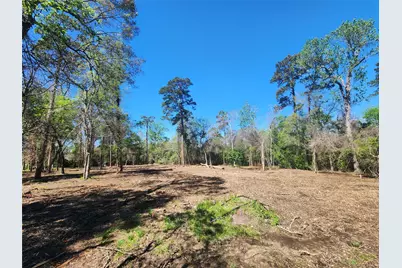 25810 Lakewater Drive, Huffman, TX 77336 - Photo 4