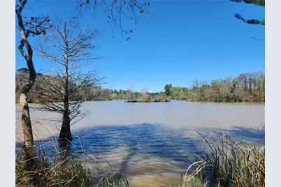 25810 Lakewater Drive, Huffman, TX 77336 - Photo 8