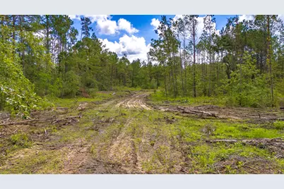 Tbd Lot 001 Holland Road, Moscow, TX 75960 - Photo 2