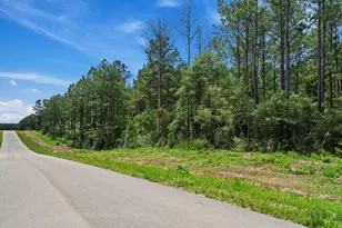 16303 Golden Wood Ct, Willis, TX 77378 - Photo 1