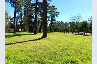 Tbd Roselake Drive, Tomball, TX 77377 - Photo 8