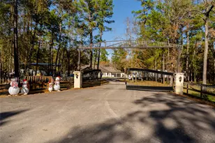24102 Baneberry Rd, Magnolia, TX 77355 - Photo 38