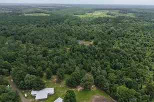 3088 County Road 2565 N, Chester, TX 75979 - Photo 26