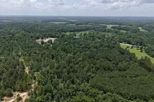 3088 County Road 2565 N, Chester, TX 75979 - Photo 22