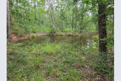 3088 County Road 2565 N, Chester, TX 75979 - Photo 4