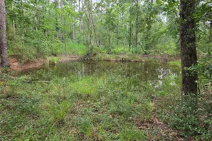 3088 County Road 2565 N, Chester, TX 75979 - Photo 4