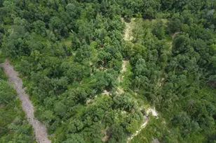3088 County Road 2565 N, Chester, TX 75979 - Photo 20