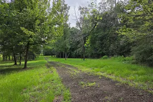 3088 County Road 2565 N, Chester, TX 75979 - Photo 2