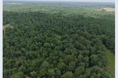 3088 County Road 2565 N, Chester, TX 75979 - Photo 18