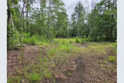 3088 County Road 2565 N, Chester, TX 75979 - Photo 12