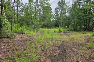 3088 County Road 2565 N, Chester, TX 75979 - Photo 12