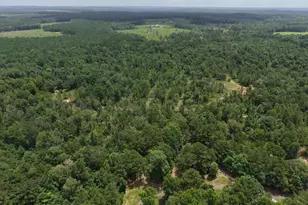 3088 County Road 2565 N, Chester, TX 75979 - Photo 28