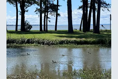 108 Javelina Street, Onalaska, TX 77360 - Photo 24