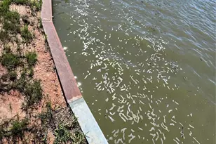 108 Javelina St, Onalaska, TX 77360 - Photo 1