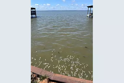 108 Javelina Street, Onalaska, TX 77360 - Photo 4