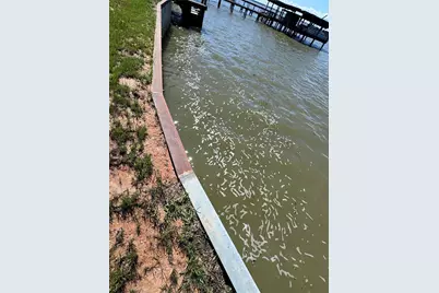 108 Javelina Street, Onalaska, TX 77360 - Photo 2