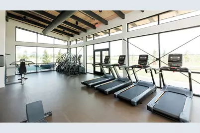 1006 Blue Stone Drive, Beasley, TX 77417 - Photo 36