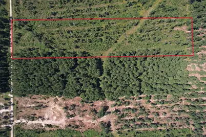 Lot 16 County Road 2235, Cleveland, TX 77328 - Photo 8