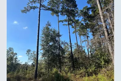 Lot 16 County Road 2235, Cleveland, TX 77328 - Photo 4