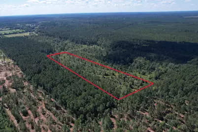 Lot 16 County Road 2235, Cleveland, TX 77328 - Photo 6