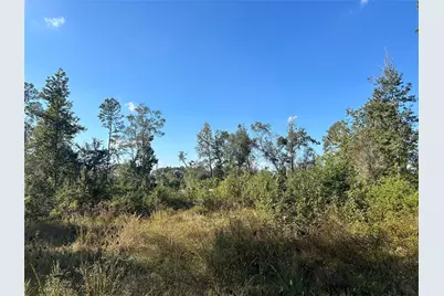 Lot 16 County Road 2235, Cleveland, TX 77328 - Photo 2