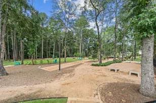 221 Patina Sorrel Dr, Montgomery, TX 77316 - Photo 36