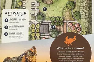 641 Cross Timbers Trce, Waller, TX 77447 - Photo 36