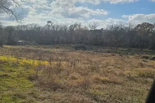 23909 Tri Lakes Rd, Montgomery, TX 77316 - Photo 6