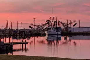 828 County Rd 206, Sargent, TX 77414 - Photo 10