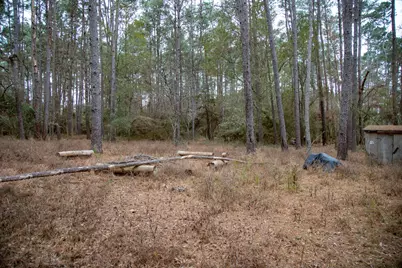 16438 Grand Flower Road, Plantersville, TX 77363 - Photo 2