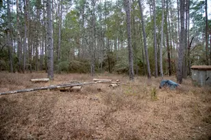 16438 Grand Flower Rd, Plantersville, TX 77363 - Photo 2