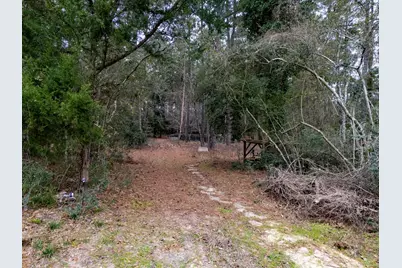 16438 Grand Flower Road, Plantersville, TX 77363 - Photo 6