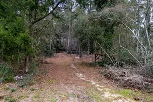 16438 Grand Flower Rd, Plantersville, TX 77363 - Photo 6