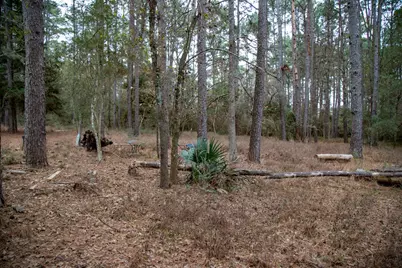 16438 Grand Flower Road, Plantersville, TX 77363 - Photo 4