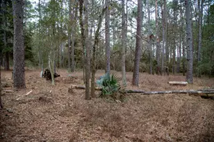 16438 Grand Flower Rd, Plantersville, TX 77363 - Photo 4