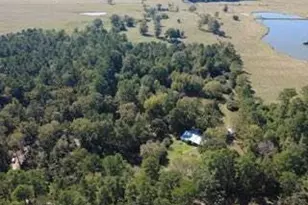 695 Co Rd 3350, Crockett, TX 75835 - Photo 8