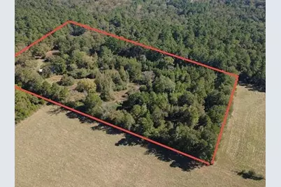 695 County Road 3350, Crockett, TX 75835 - Photo 6