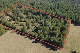 695 Co Rd 3350, Crockett, TX 75835 - Photo 6