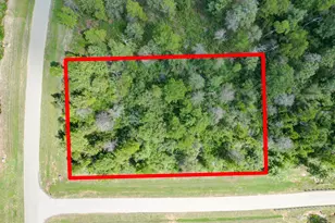 10692 Ruger Rd, Willis, TX 77378 - Photo 1