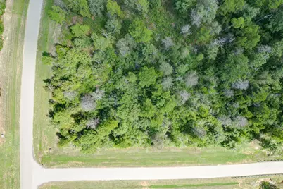 10692 Ruger Road, Willis, TX 77378 - Photo 16